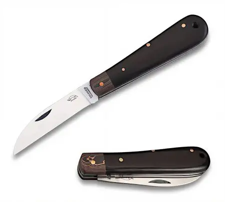 Otter Bergmann Taschenmesser