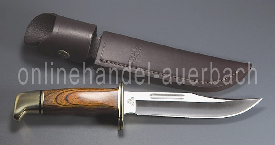 Buck Special 119 Cocobolo Messer